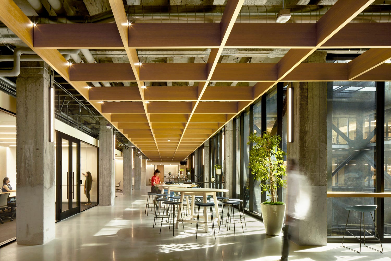 A wooden framework guides circulation around the atrium.