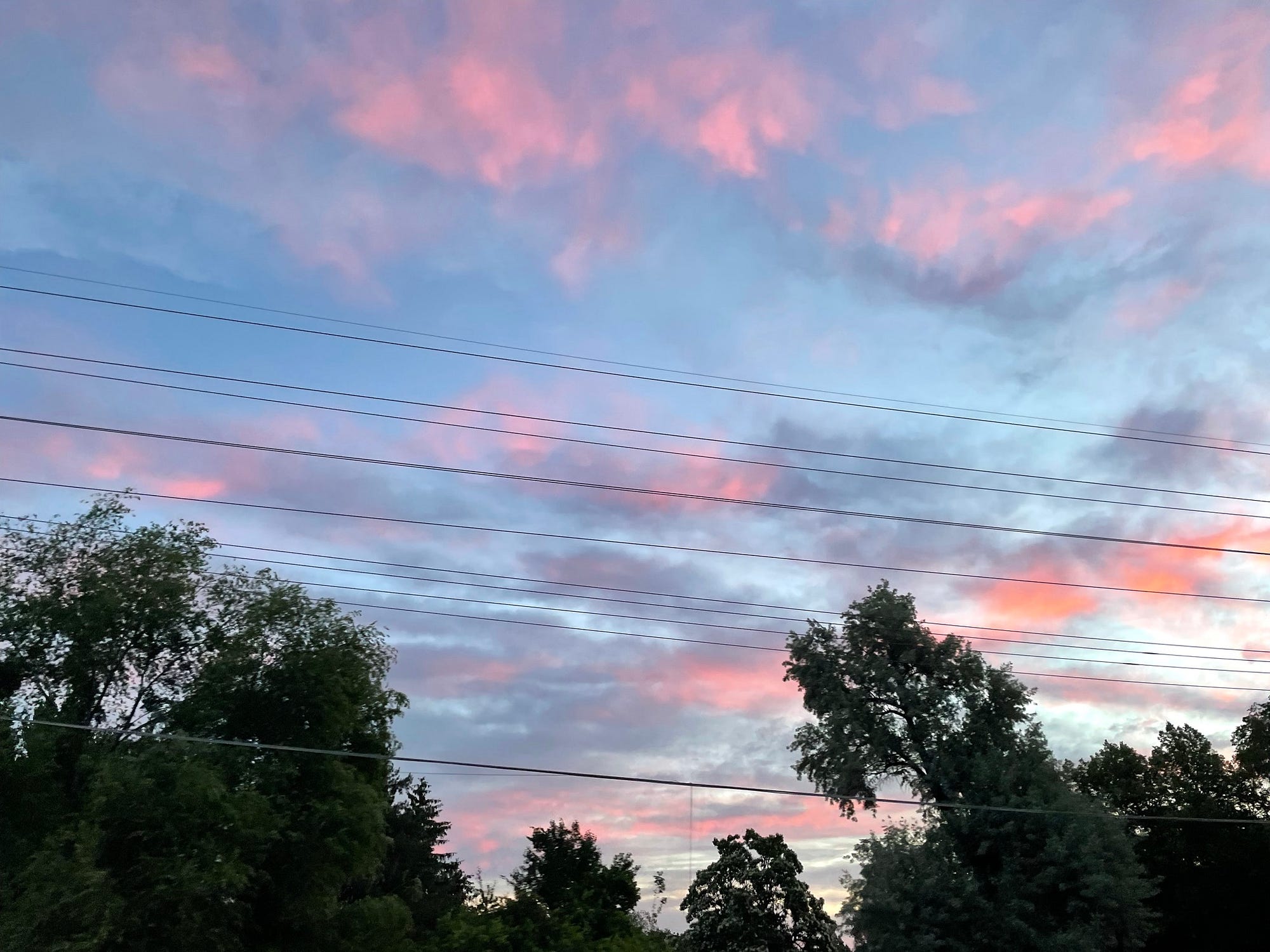 Pink clouds during sunrise.