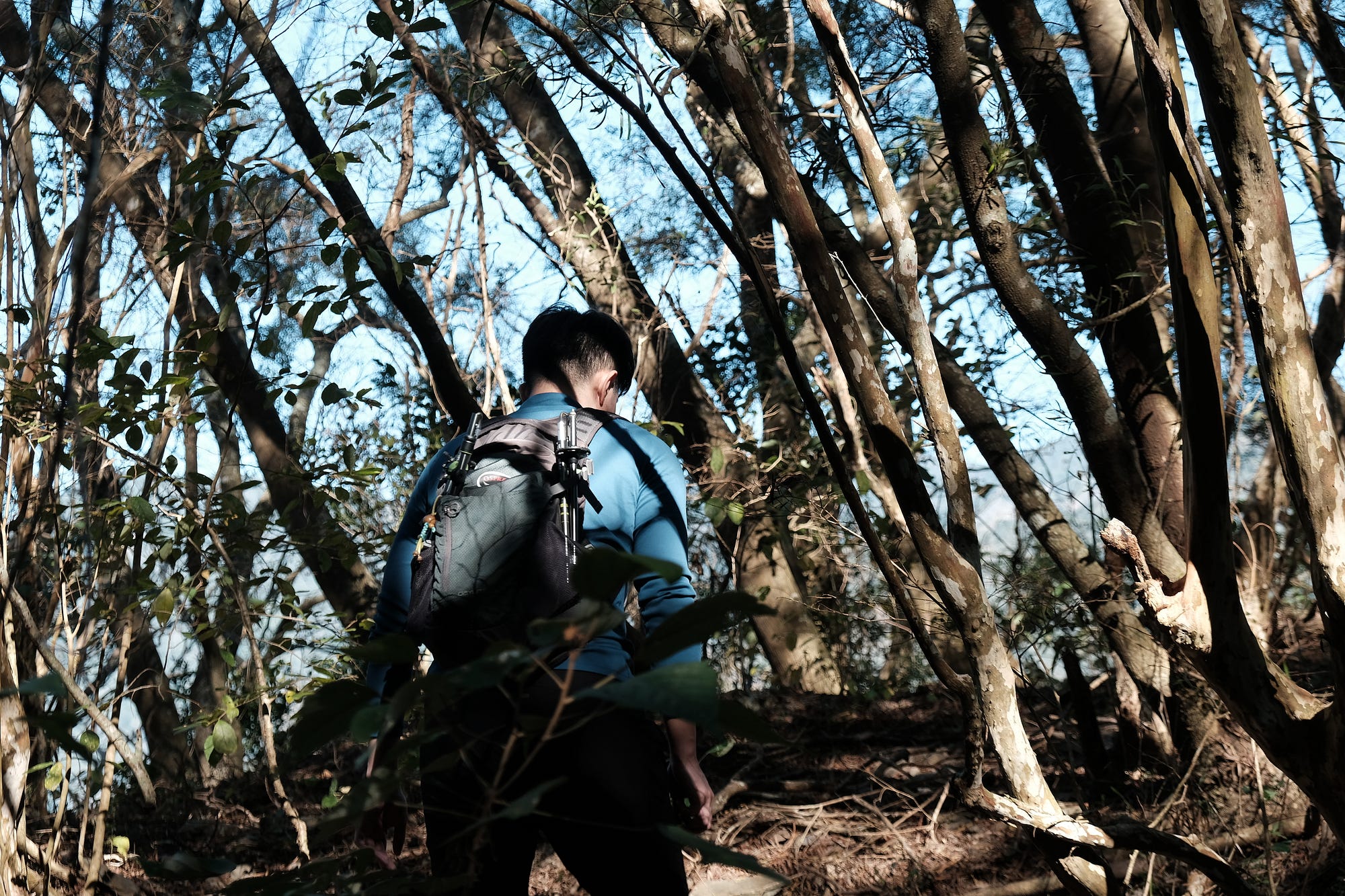 Black Diamond Distance Plus FLZ