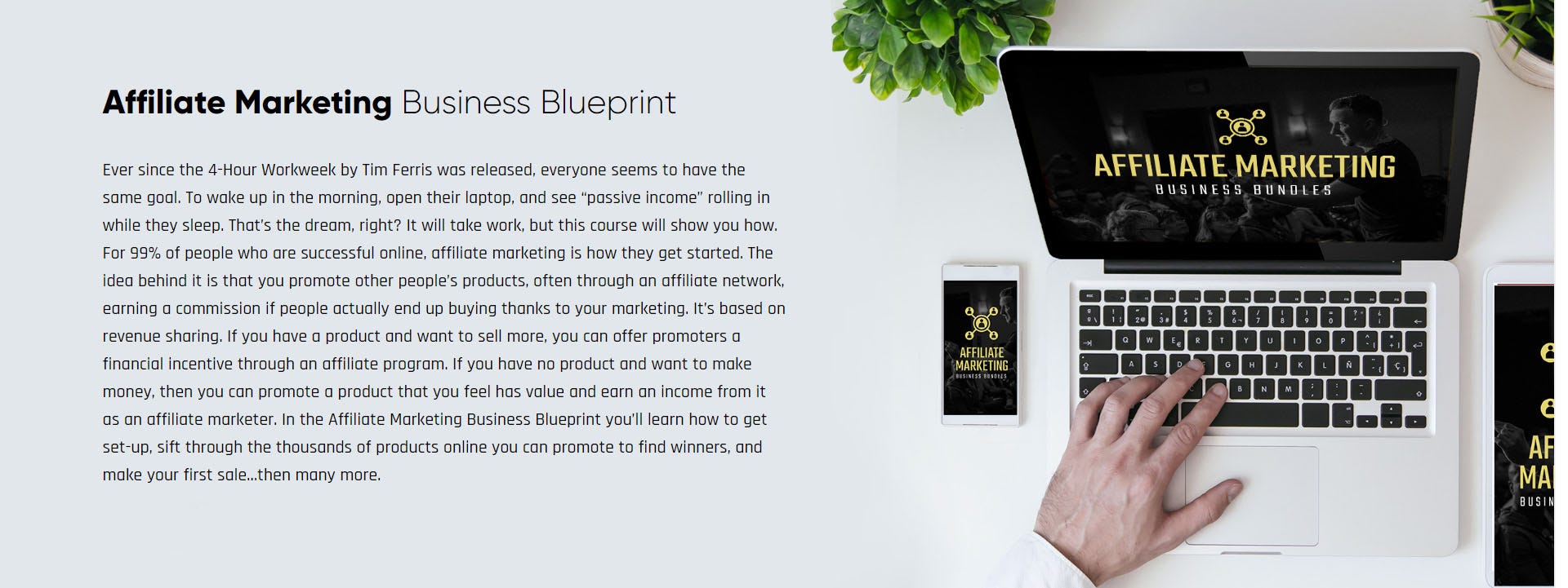 Affiliate Marketing Business Blueprint Print-screen