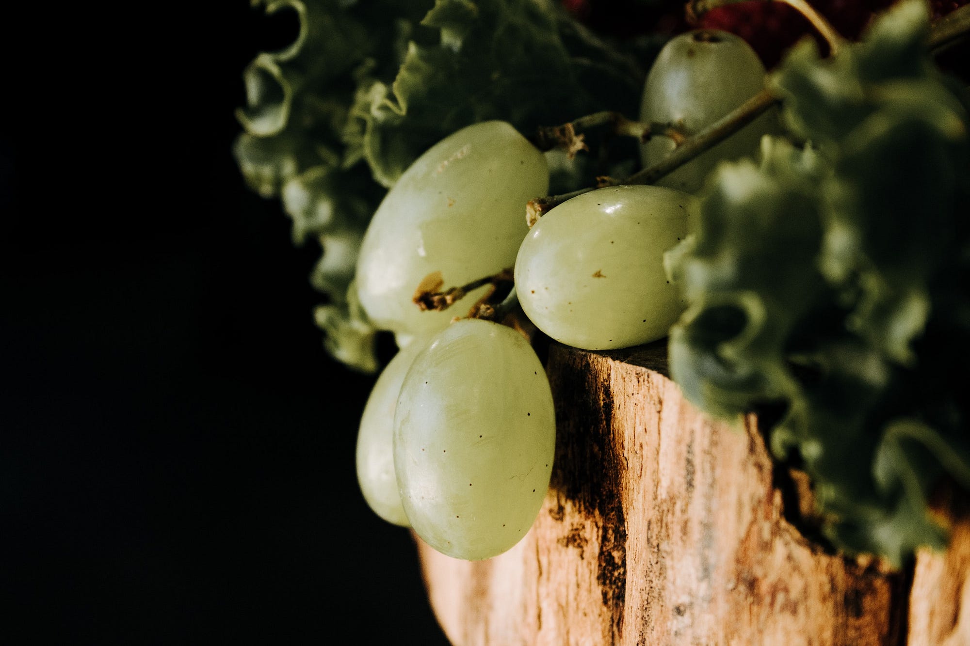 My Grapes are Sour and Difficult to Digest by Karen Fayeth