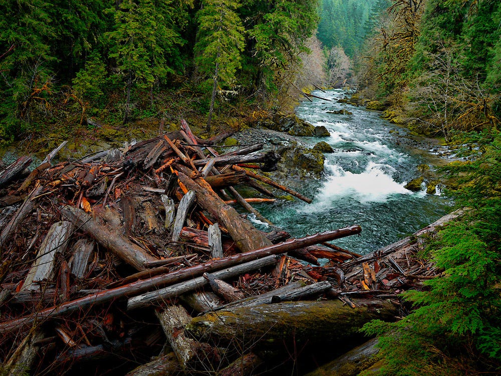 When Confronted with a Logjam, Gain Some Perspective