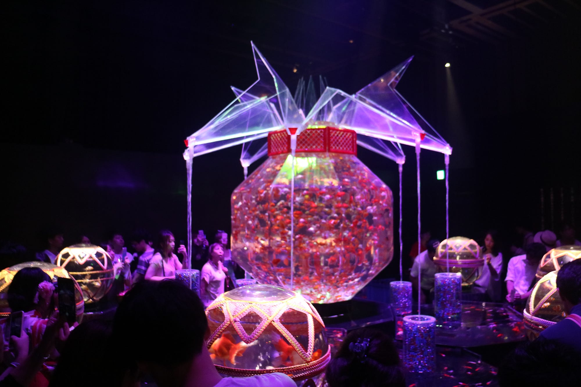 日本夏天的風情畫金魚 花火 風鈴與蒲扇 說到日本夏天的特色 除了浴衣 花火之外 江戶時代開始 金魚就為日本的夏天帶來一股 By Joel Fukuzawa Medium