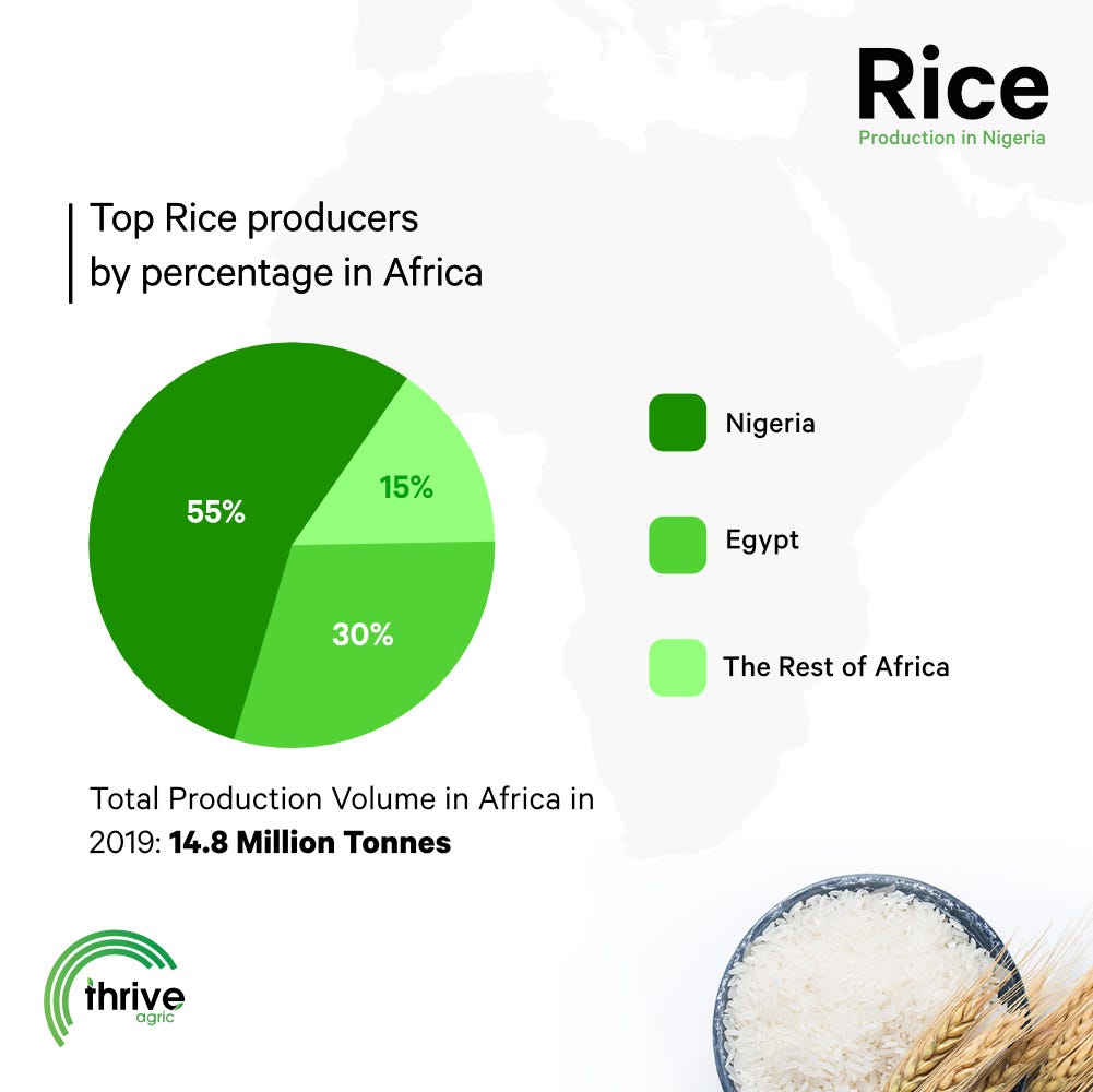 Statistics Rice Production in Nigeria. by Thrive Agric Hectare Medium