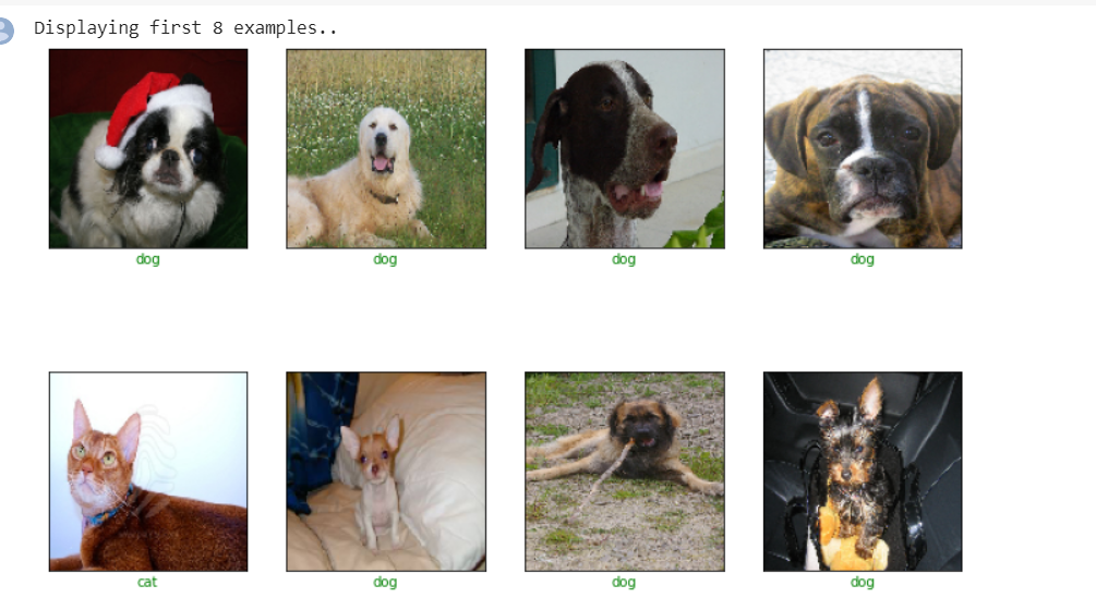 Creating Dog versus Cat Classifier using Transfer Learning | by Harsh ...