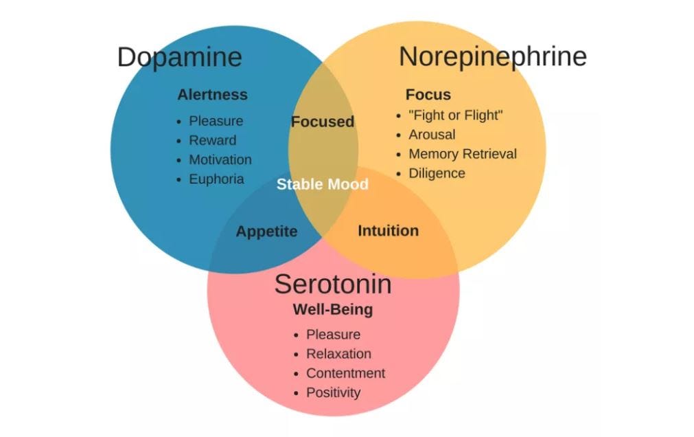 The Surprising Link Between The Brain, Gut Bacteria, And Anxiety