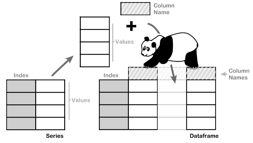Python Pandas Basics. With Pandas ? | by Keno Leon | Medium