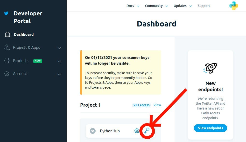 Automate your Social media Presence with Python | by Sandro Luck ...