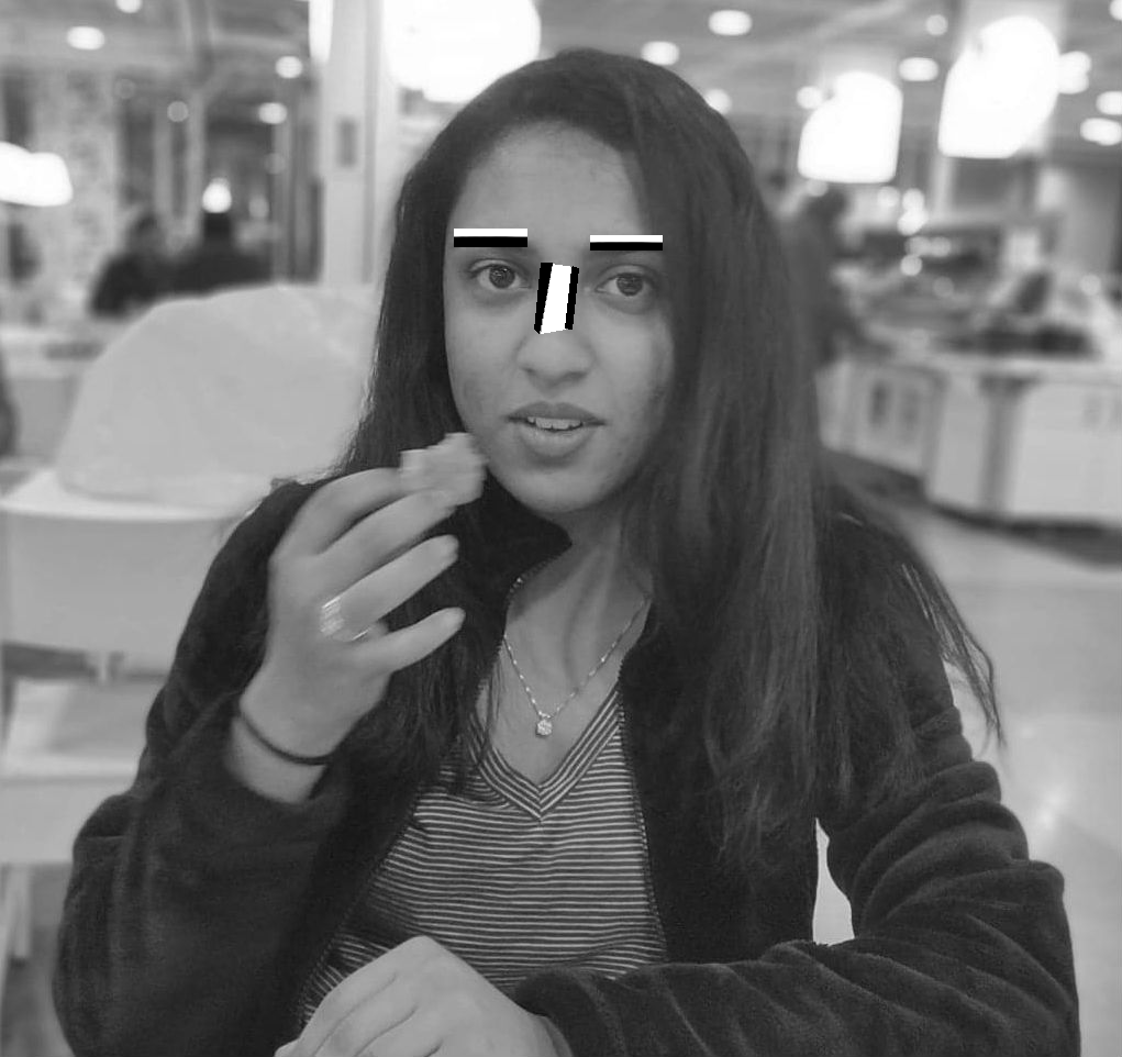 Breaking Down Facial Recognition The ViolaJones Algorithm