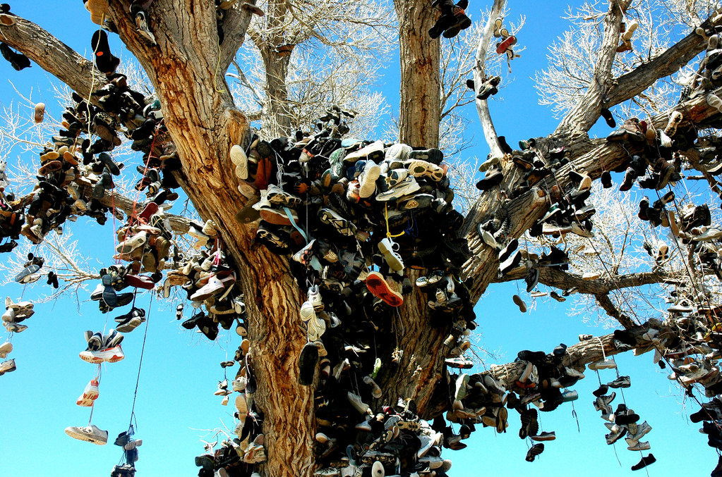 Shoe Trees Are Popping Up All Around The World by Hunter Stuart