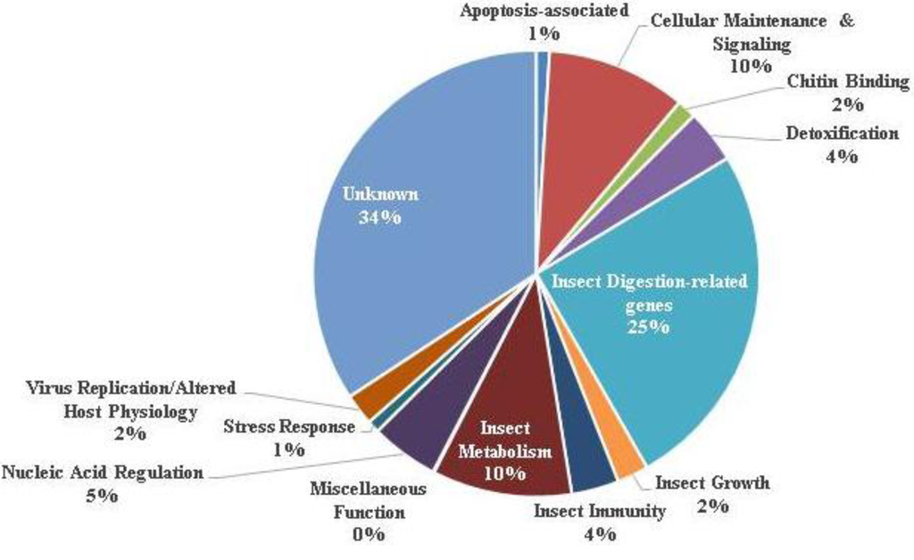 R Ggplot Pie Chart Percentage