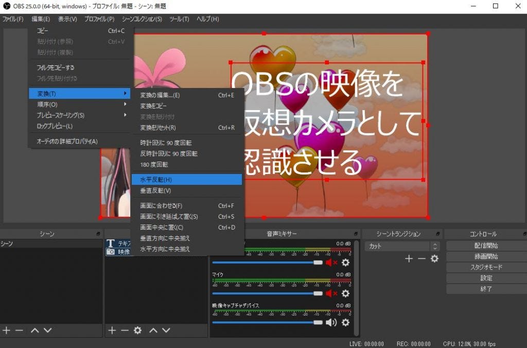 Obs virtual camera