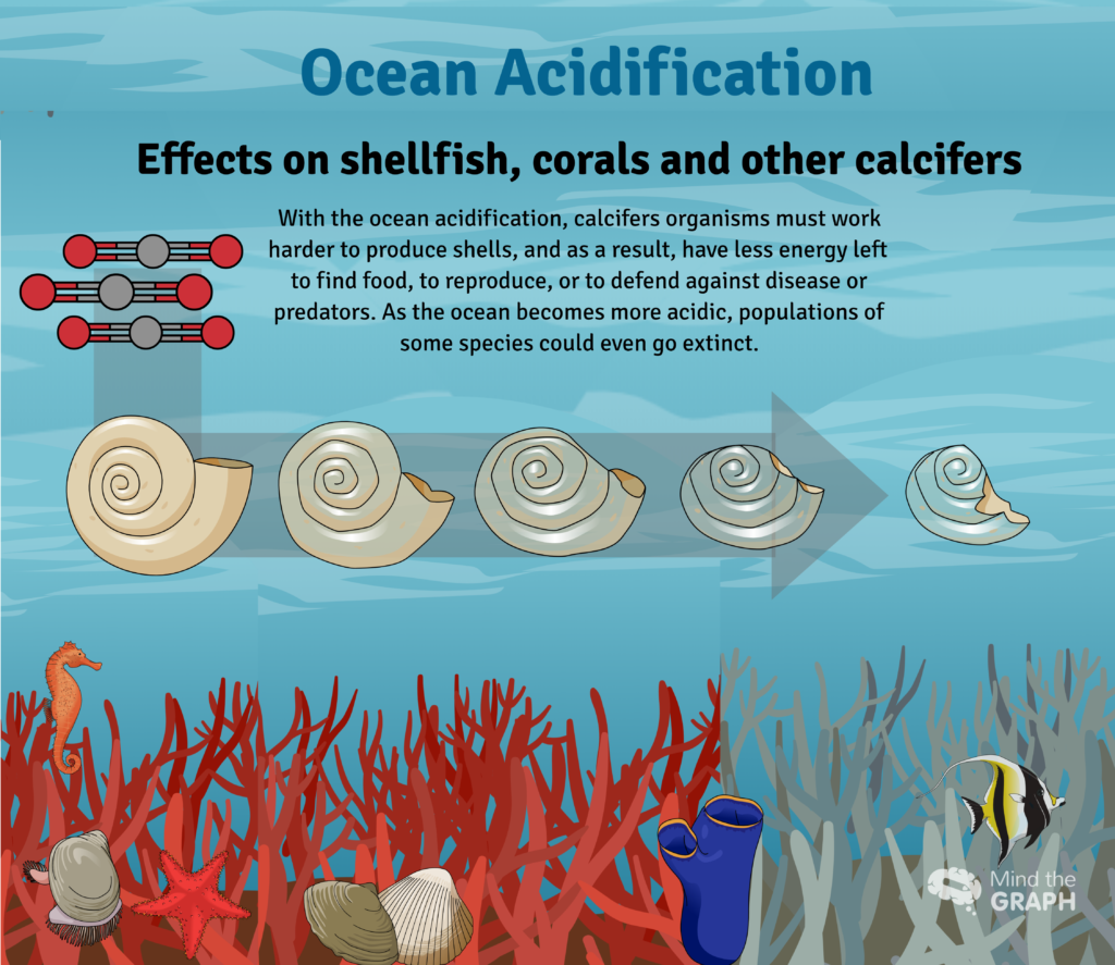 Image result for ocean acidification