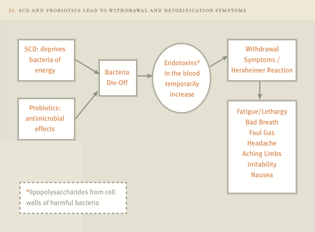 What Is A Herxheimer Reaction And What Should I Do By Cindy Frei Medium