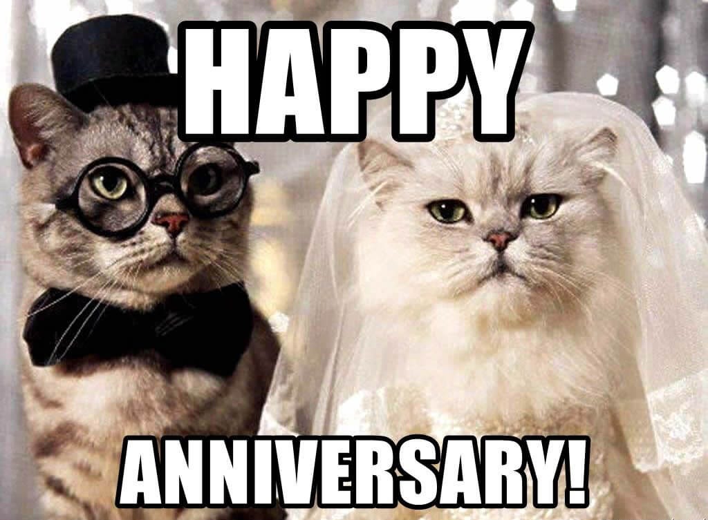Featured image of post Funny Anniversary Memes Happy anniversary meme images will remember funny moments that happened in the past to your husband or wife