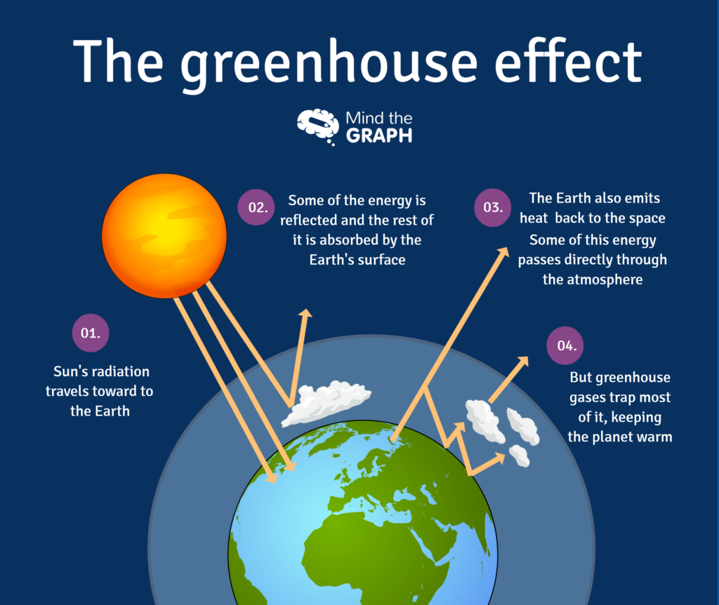 Carbon Cycle And Greenhouse Effect A Scientific Infographic By Mind The Graph The Science Educator Medium