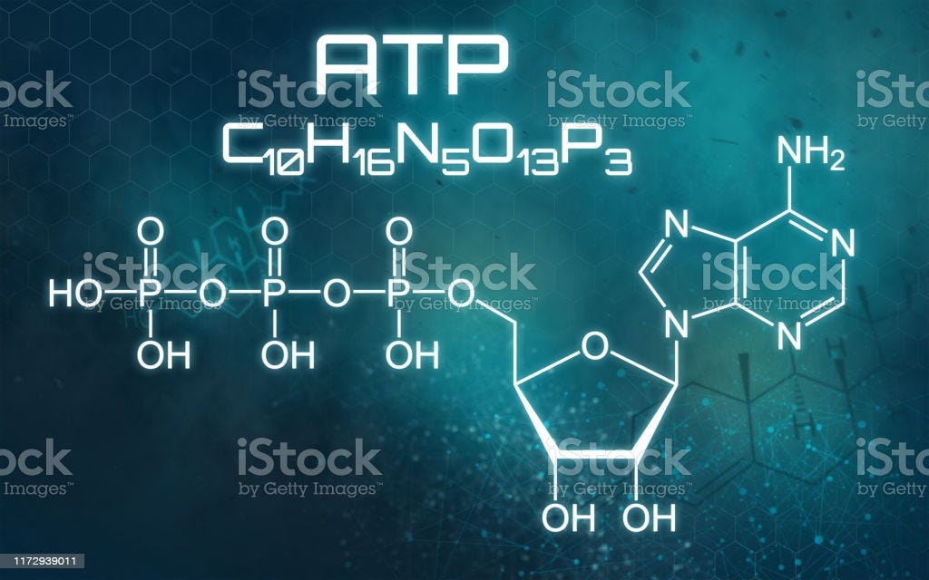 https://www.istockphoto.com/photo/chemical-formula-of-atp-on-a-futuristic-background-gm1172939011-325593924