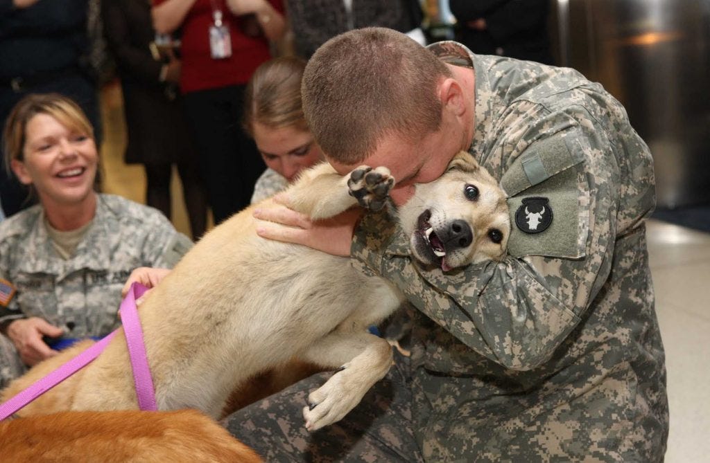 Service Dogs Help Vets With PTSD. The Story by Natalie Frank, Ph.D