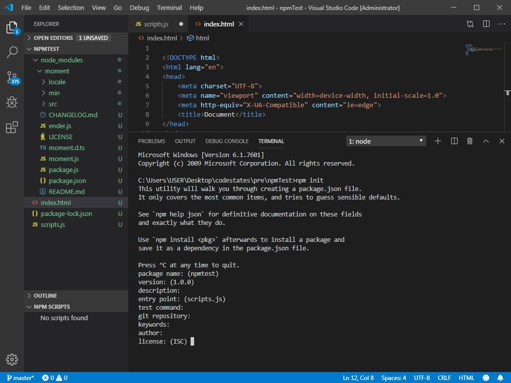 Visual Studio Code Npm