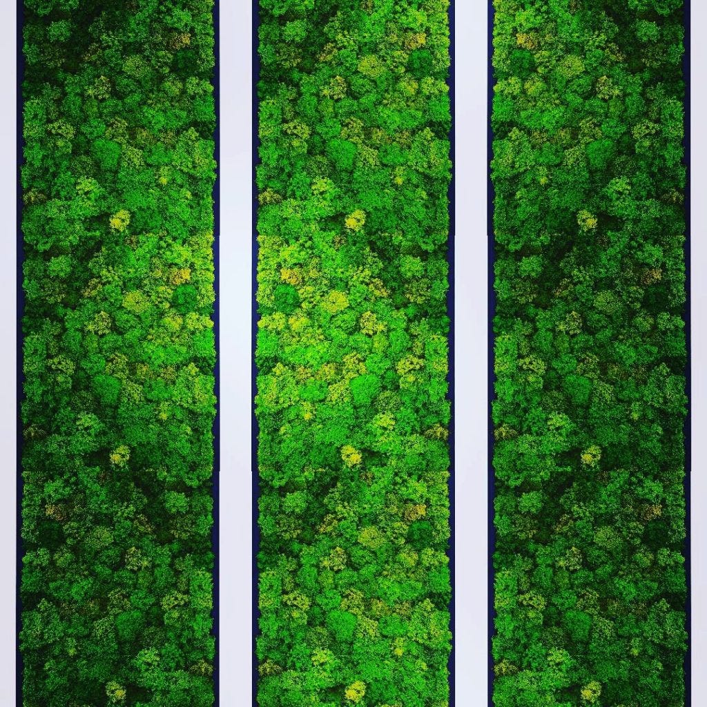 Why Biophilic Design Is Good For You: And “Bio” Terminologies Defined