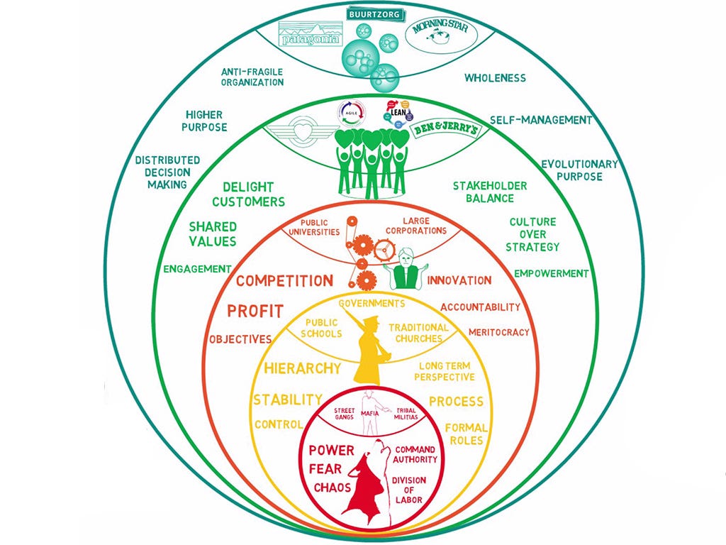 Evolutionary Organisational Path