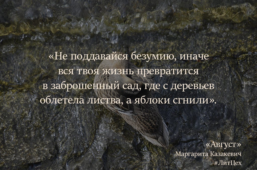 Майбах август текст