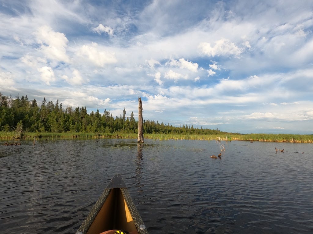 Temagami Trip 2 AnimaNipissing & Montreal River Loop by Michelle Cordy Medium