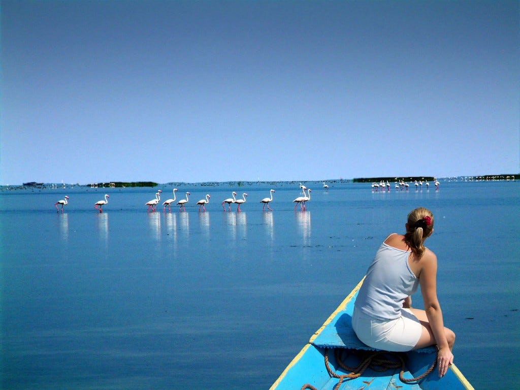 Chilka Lake Bird Sanctuary in Puri, Orrisa - Walmart Travels - Medium