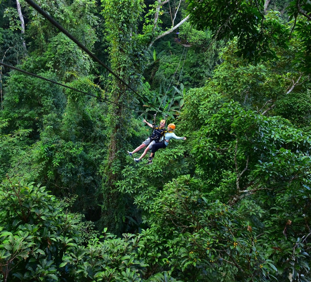 夏日泰國旅行 曼谷 清邁自由行懶人包 新手觀光篇 一起到泰國度過又熱又爽的夏天吧 總結我對泰國的印象 那會是 By Chofy Lin 設計私房誌 夏日泰國旅行 曼谷 清邁自由行懶人包 新手觀光篇 一起到泰國度過又熱又爽的夏天吧 總結我對泰國的印象 那會是 By Chofy Lin 設計私房誌