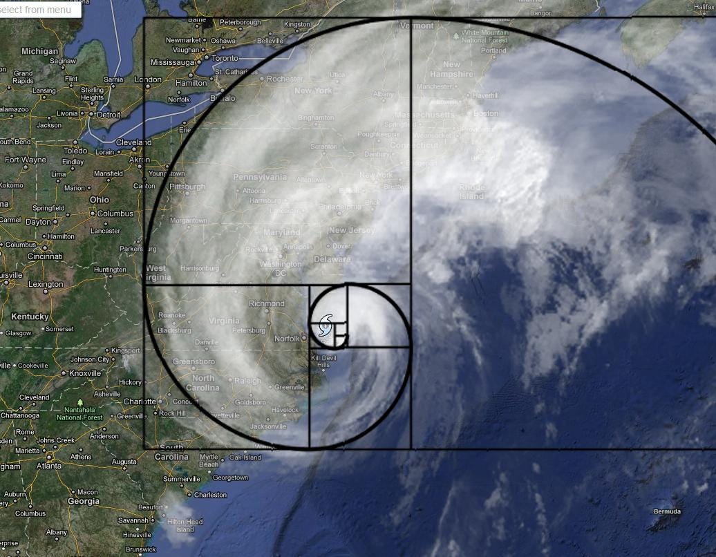 Fibonacci Everywhere!. I first learned about this interesting… | by  Wolfgang Pfretzschner | Medium