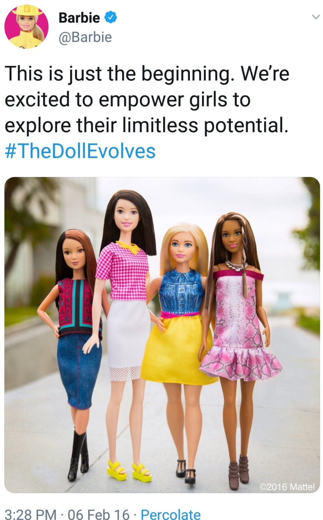 mattel diverse dolls