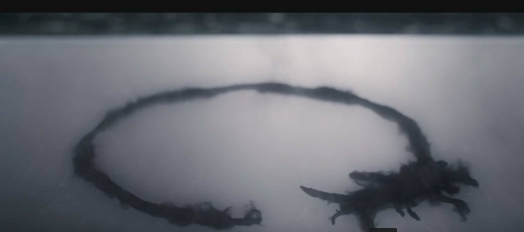 Everyone Hates Learning A New Language By Thaddeus Howze Medium