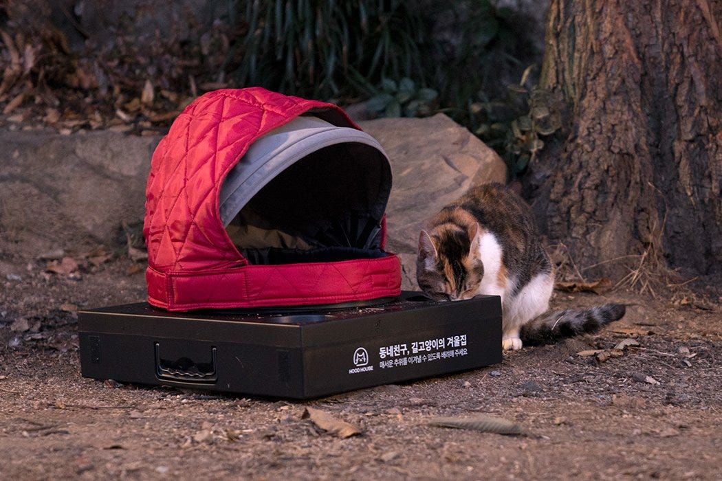 Portable Pet Cribs Make A Home For Stray Cats On The Cold Streets