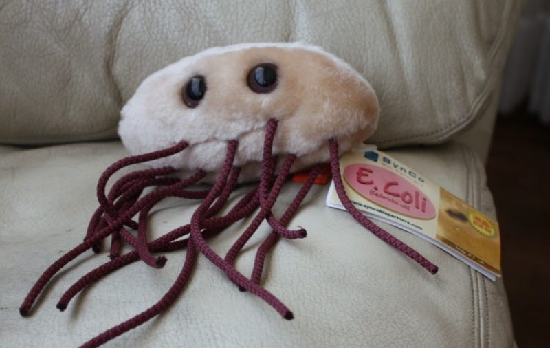 escherichia coli peluche