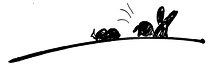 #RabbitHole_sideways