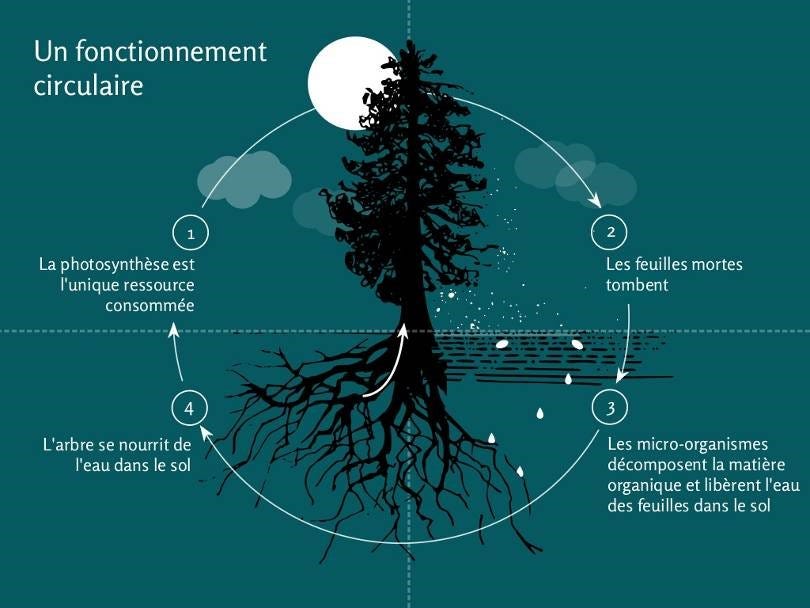 L Economie Circulaire Vers Une Nouvelle Revolution Industrielle By Jean Moreau Medium