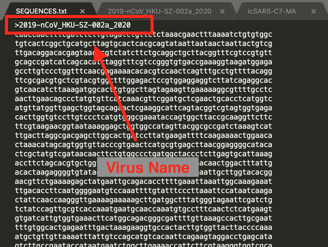 How To Perform Sequence Alignment On 2019 Ncov With Mafft