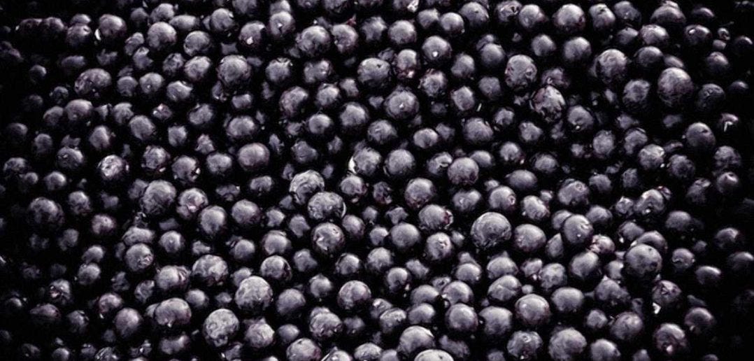 benefits of acai berry