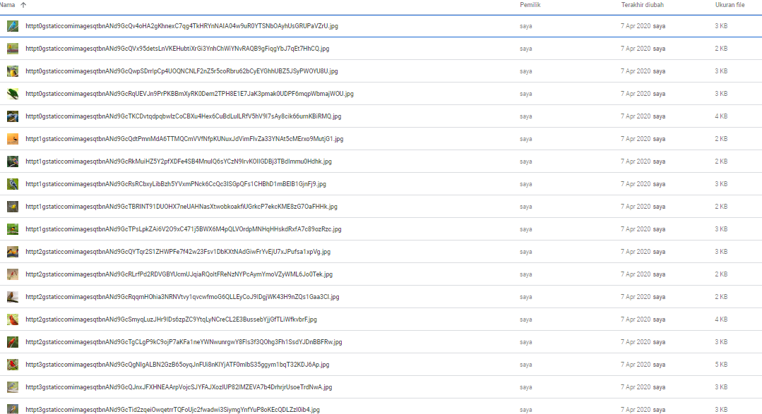 Koleksi Data Image Menggunakan Python - BISA.AI - Medium