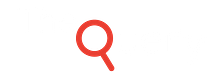 The Query