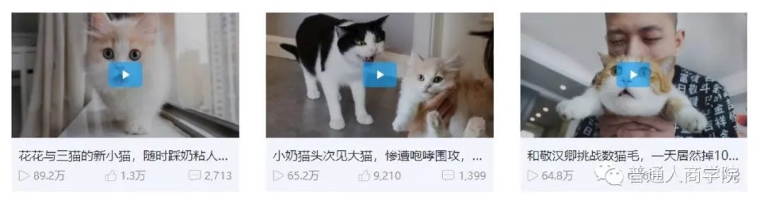 国内猫咪日常网红 花花与三猫 的赚钱套路 是可爱柔弱又能赚钱的喵星人呢 By 普通人商学院 Medium