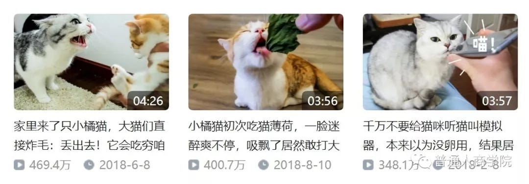 国内猫咪日常网红 花花与三猫 的赚钱套路 是可爱柔弱又能赚钱的喵星人呢 By 普通人商学院 Medium