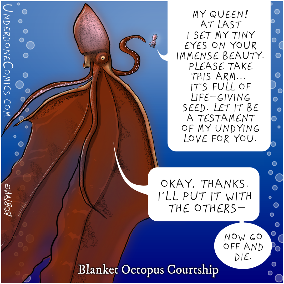 The Love Lives of Octopuses. About a quarter of a century ago, a… by