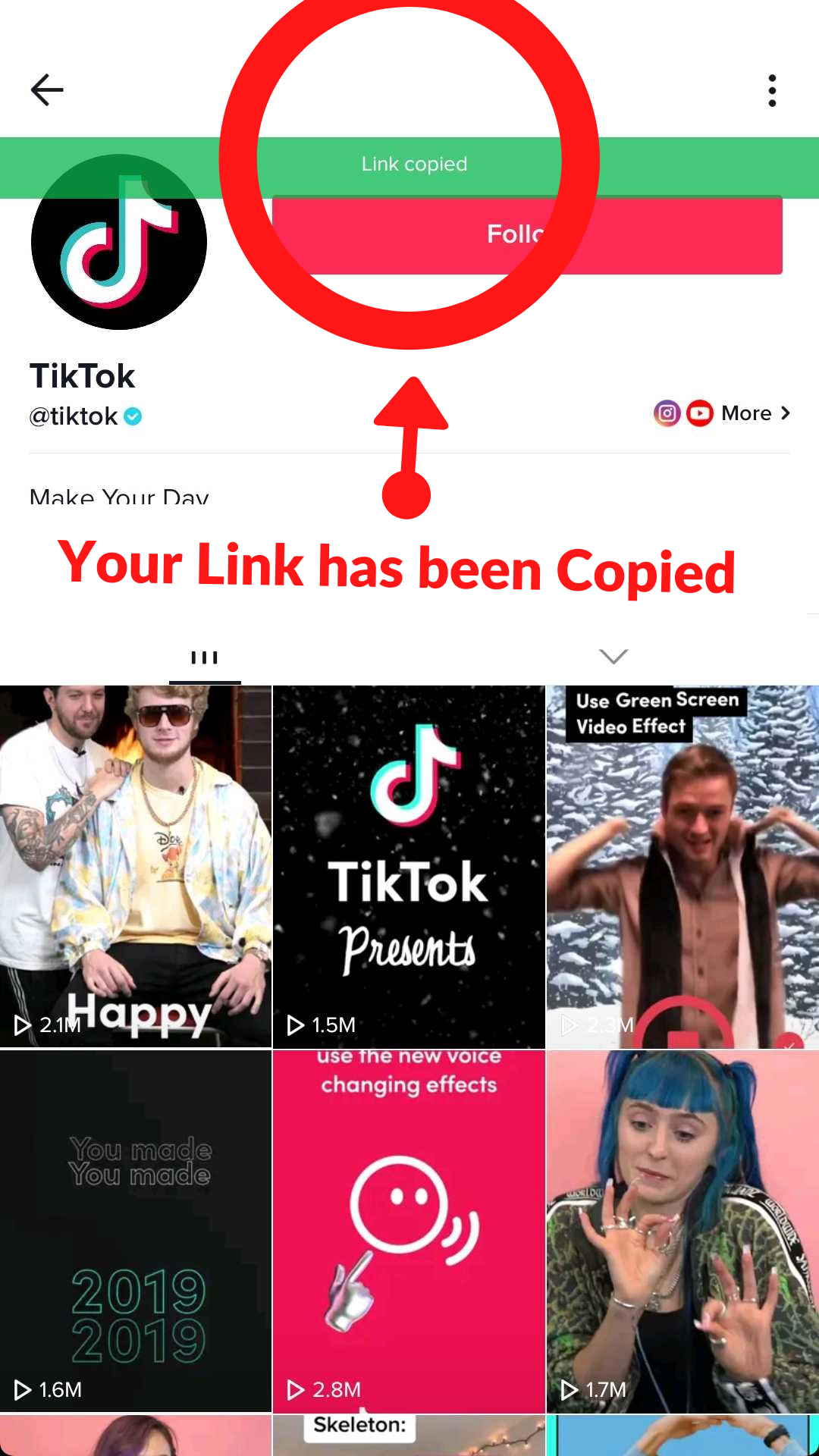 Featured image of post Tiktok No Profile Picture : Especially if your account is private, it&#039;s completely normal to check the profile picture of someone&#039;s account to be sure if they are someone you know or worthy of keeping around.