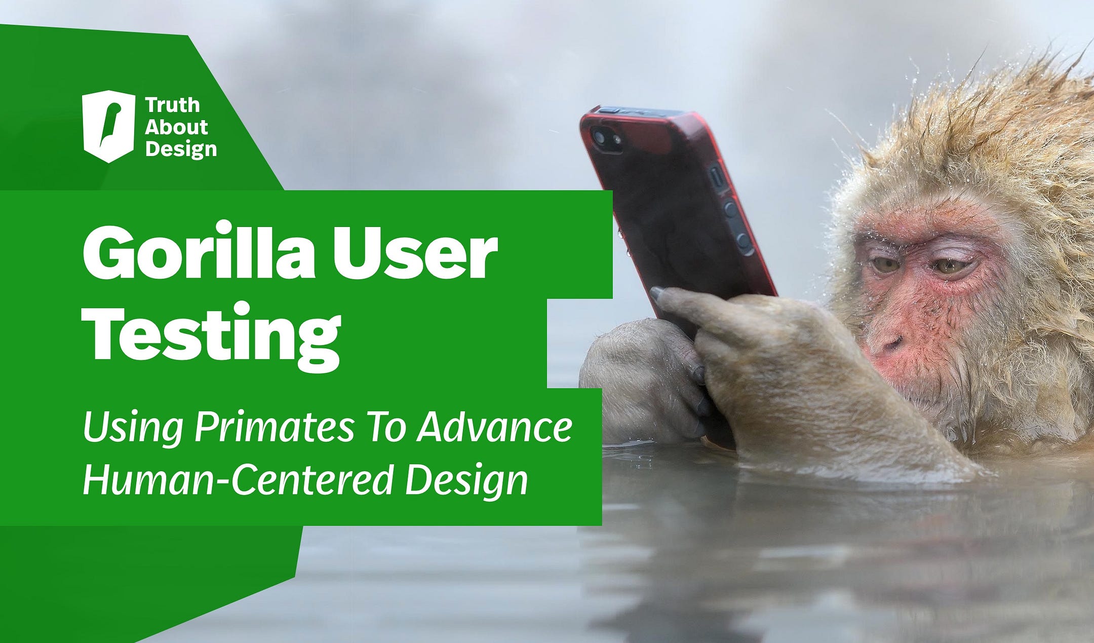 Gorilla User Testing Using Primates To Advance HumanCentered Design