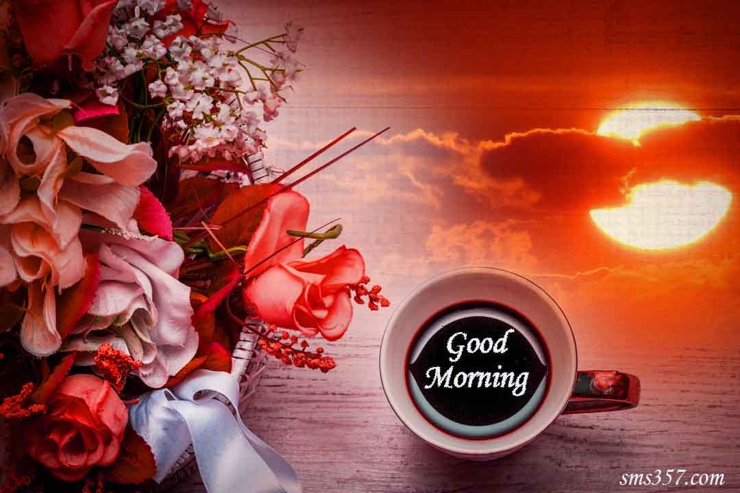 Good Morning Images100 Good Morning Flower Images Free Download Hd