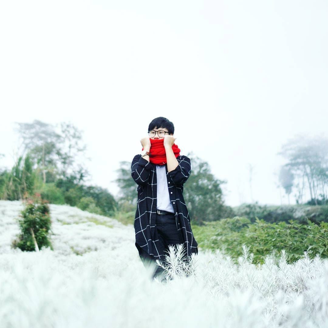 Unduh 5400 Koleksi Background Bunga Ladang Paling Keren