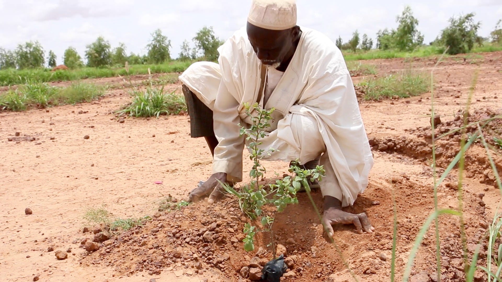 Sahel Turnaround Desertification And Rolling Droughts By Elizabeth