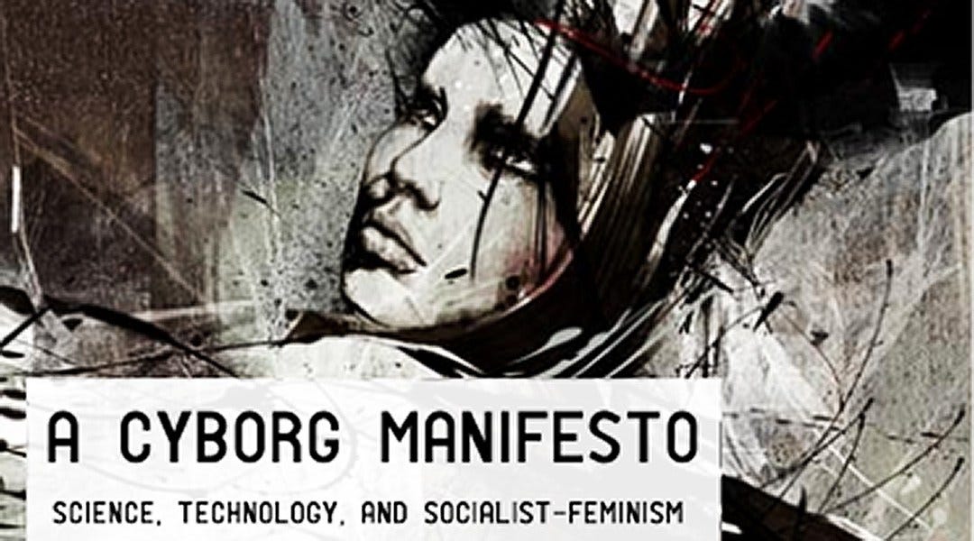 Criticism Of A Cyborg Manifesto