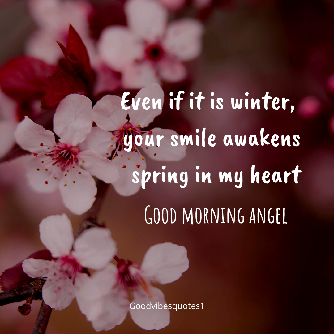 Did You Check This Beautiful Love Morning Messages For Her